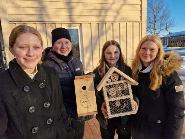 STARTER EGEN BEDRIFT: Snart starter salget av fuglekasser og biehotell. Mathilde Folkvord Mehl (fra venstre), Line Meiningen Lien, Jakobine Brenden Reikerås og Eira Olsen Gjerdrum forteller om bra salg allerede.