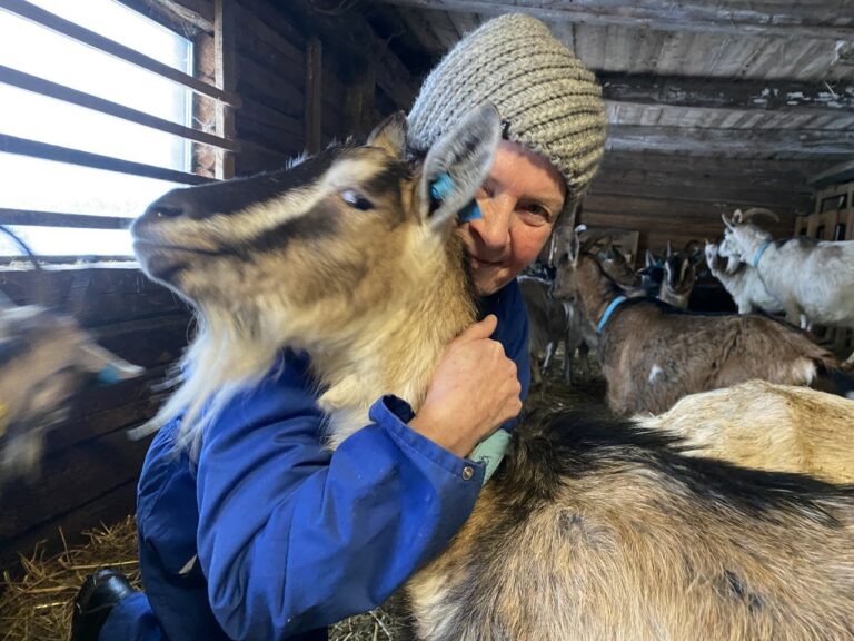 SKOGEIER OG SMÅBRUKER: Mange internasjonale verv førte Merete Furuberg ut på reise over hele verden. I dag er hun mest lykkelig de dagene hun slipper både fly og bil, og kan være hjemme med sauer, geiter, høner, frilandsgris og grønnsakshage. Foto: Marit Bendz.