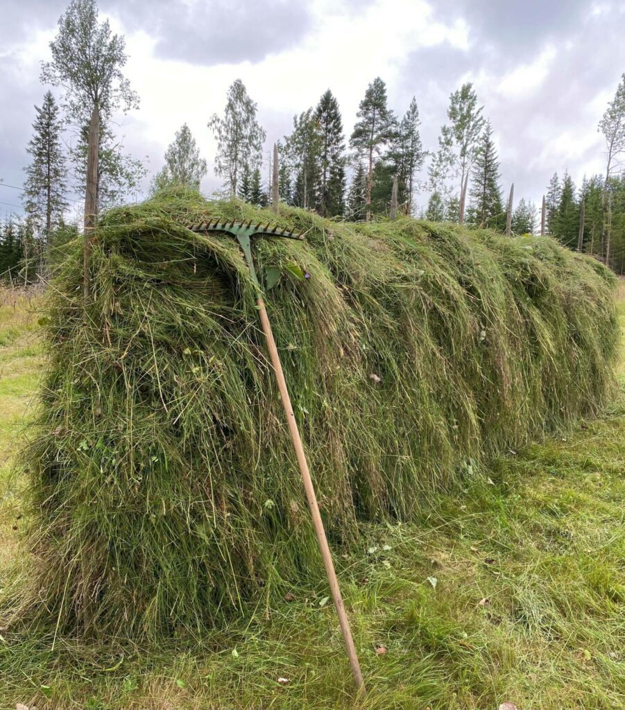 GAMMEL TRADISJON: Ada Bredalen er opptatt av gamle tradisjoner, og arrangerer derfor slåttedag på finnebruket Nedre Halberget. Hun håper mange fatter interesse for opplegget.