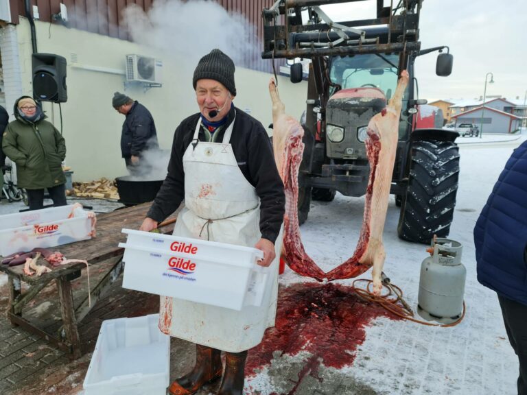 GODT BESØKT: Bygdeslakter Per Risbergseter (81) forteller at mange har vært innom på griseslakt tidligere under julefestivalen, og han håper mange flere vil lære mer om hvor juleribba kommer fra.